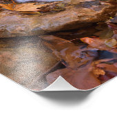 Stream in Payson, Arizona Fotodruck (Ecke)
