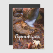 Stream in Payson, Arizona Magnet (Vorne/Hinten)