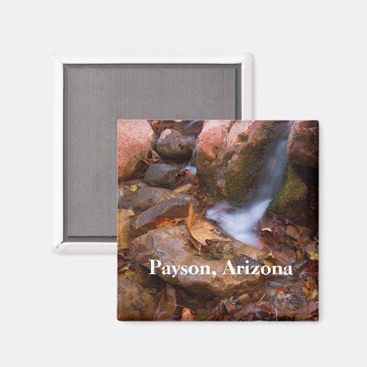 Stream in Payson, Arizona Magnet (Vorderseite/Rückseite)