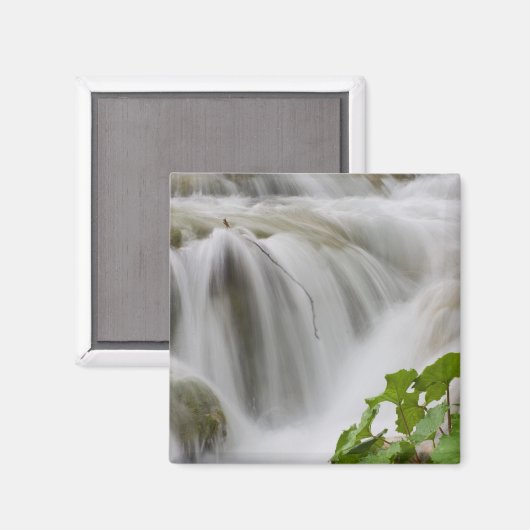 Stream Magnet (Vorderseite/Rückseite)