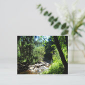 Stream Postkarte (Stehend Vorderseite)