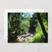 Stream Postkarte (Vorne/Hinten)