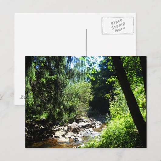 Stream Postkarte (Vorne/Hinten)