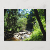 Stream Postkarte (Vorderseite)