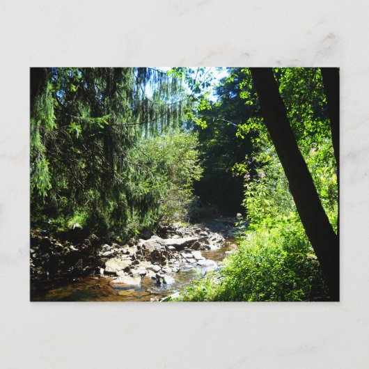 Stream Postkarte (Vorderseite)