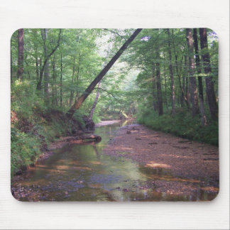 Streambed Mousepad