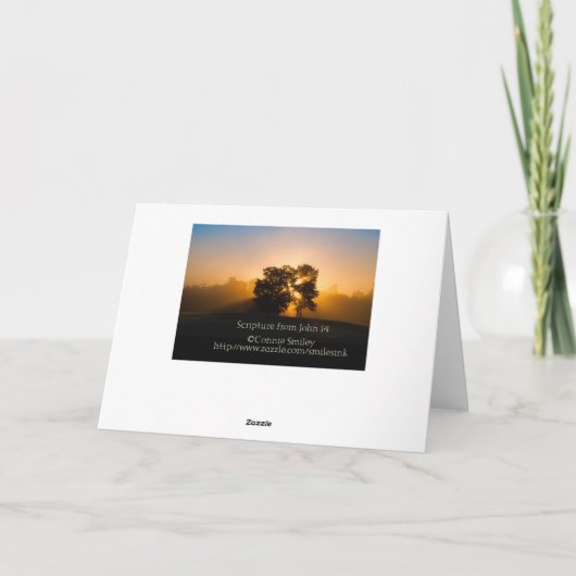 Streaming Christmas Light Feiertagskarte (Rückseite)