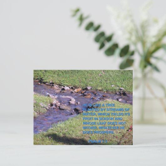 STREAMS POSTKARTE (Stehend Vorderseite)