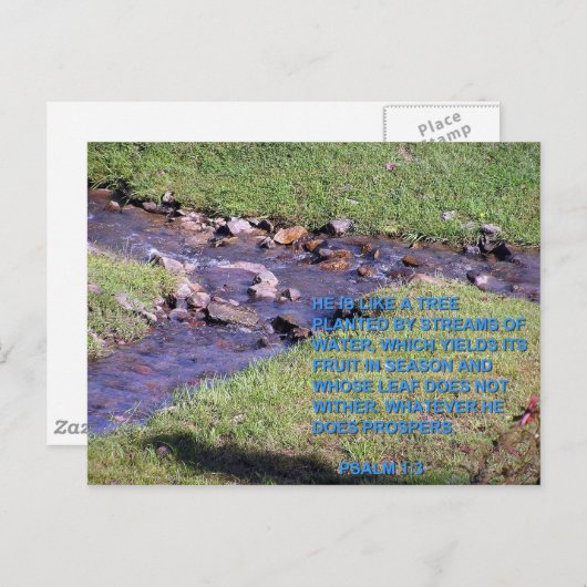 STREAMS POSTKARTE (Vorne/Hinten)