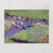 STREAMS POSTKARTE (Vorderseite)