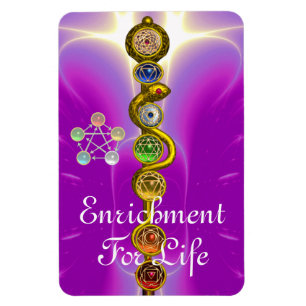 STRECKE VON ASCLEPIUS 7 CHAKRAS,YOGA,SPIRITUELLE E MAGNET
