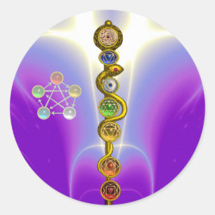 STRECKE VON ASCLEPIUS 7 CHAKRAS,YOGA,SPIRITUELLE E RUNDER AUFKLEBER