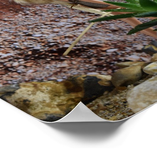 Streckenführung. Plakat (Ecke)