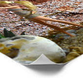 Streckenführung. Plakat (Ecke)