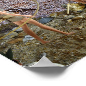 Streckenführung. Plakat (Ecke)