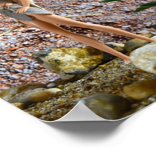 Streckenführung. Plakat (Ecke)