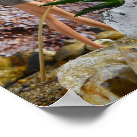 Streckenführung. Plakat (Ecke)