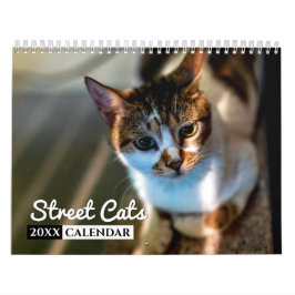 Street Cats Foto Wall Calendar Kalender