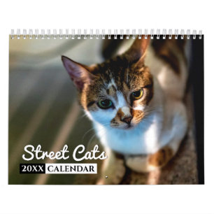 Street Cats Foto Wall Calendar Kalender