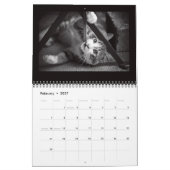 Street Cats Fotografie Kalender (Feb 2027)