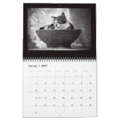 Street Cats Fotografie Kalender (Jan 2027)