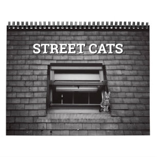 Street Cats Fotografie Kalender