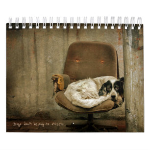 Street Dogs Kalender