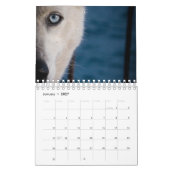 Street Dogs Kalender (Jan 2027)