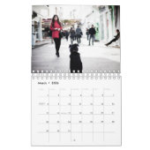 Street Dogs Kalender (Mär 2026)