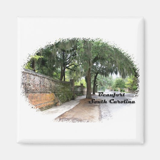 Street Scene, Beaufort, SC Magnet (Vorne)