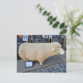 Street Sheep Postkarte (Stehend Vorderseite)