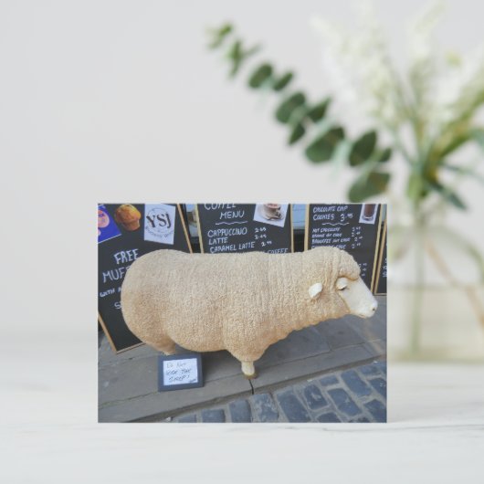 Street Sheep Postkarte (Stehend Vorderseite)