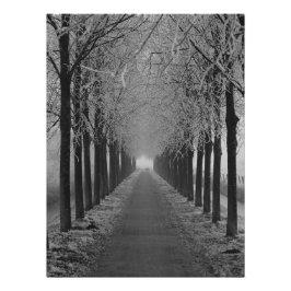 Street winter poster