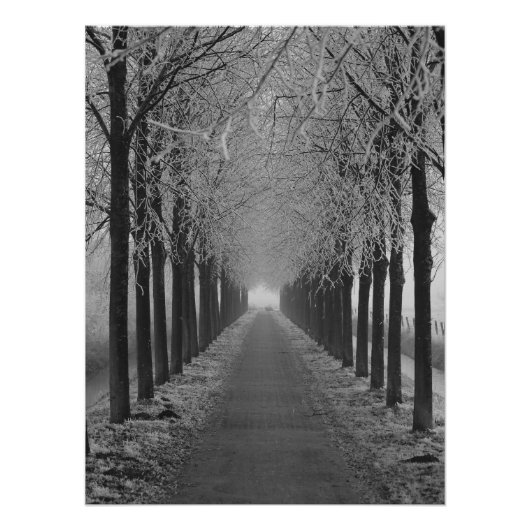 Street winter poster (Vorderseite)