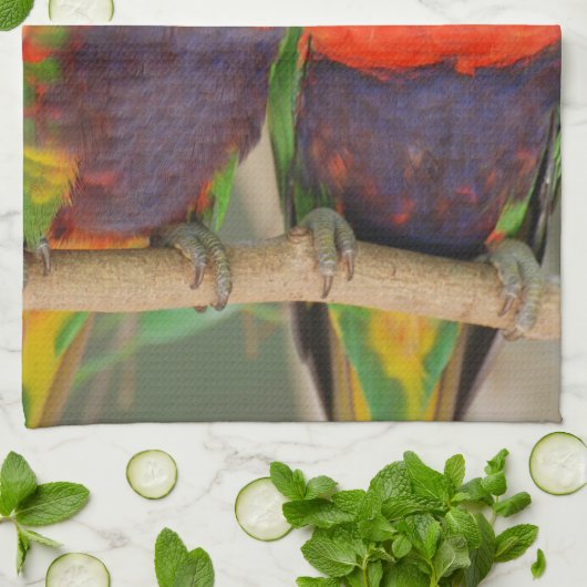 StreichelnLorikeets Geschirrtuch (Gefaltet)