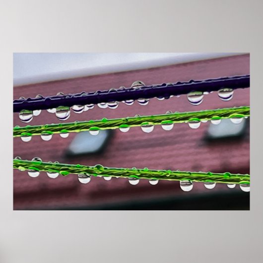 Streichseile Poster (Vorne)