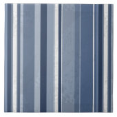 Streifen blau fliese (Vorderseite)