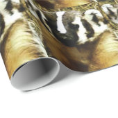 Streifen des Dachses Geschenkpapier (Rolleneckpunkt)