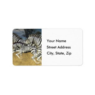 Streifen laufen - Zebra-Adressen-Etiketten Adressaufkleber