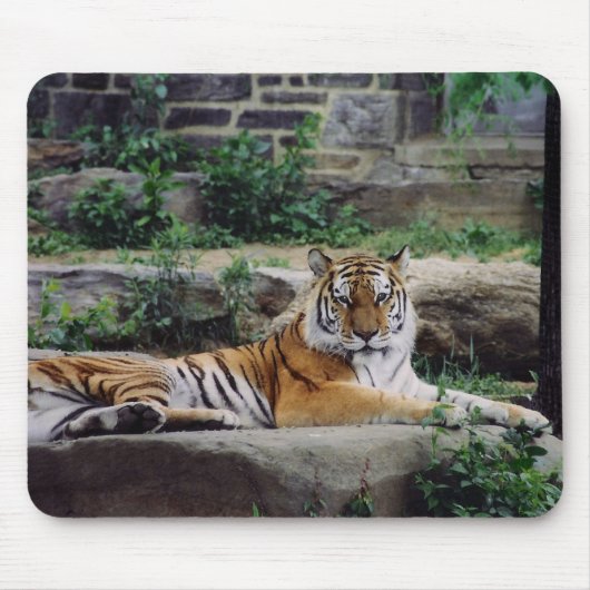Streifen Mousepad (Vorne)