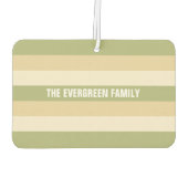 Streifen Muster Muster Luftkühler für Autos Autolufterfrischer (Rückseite)