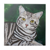 Streifen, Tabby-Katze Fliese (Vorderseite)