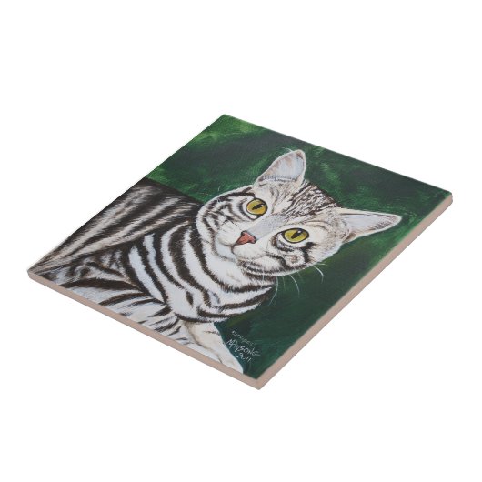 Streifen, Tabby-Katze Fliese (Seite)