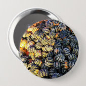 Streifen und Kürbisse Button (Vorne & Hinten)