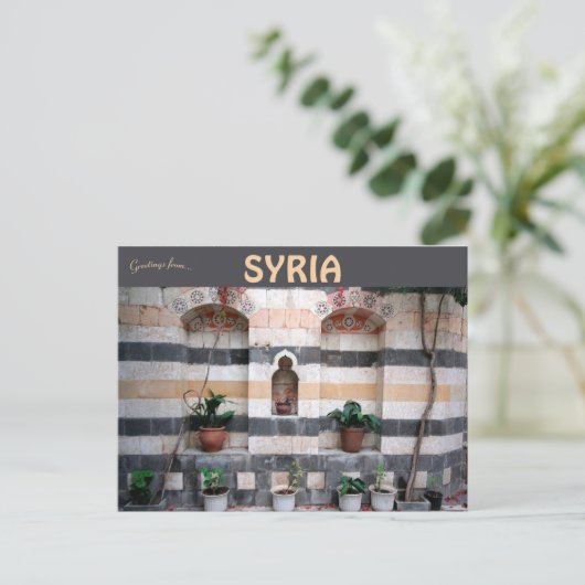 Streifen und Pflanze in Damaskus - Syrien Postkarte (Stehend Vorderseite)