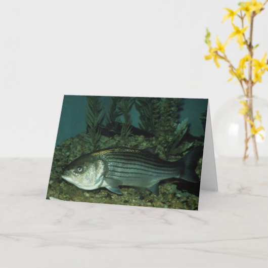 Streifenbarsch Karte (Gelbe Blume)