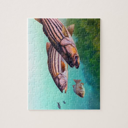 Streifenbarsch Puzzle (Vertikal)