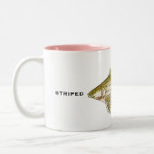 Streifenbarsch | TASSE (Links)