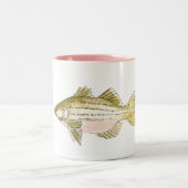 Streifenbarsch | TASSE (Mittel)