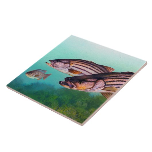 Streifenbarsche Fliese (Seite)